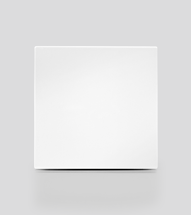 Light Switch 1 Gang 2 Way
